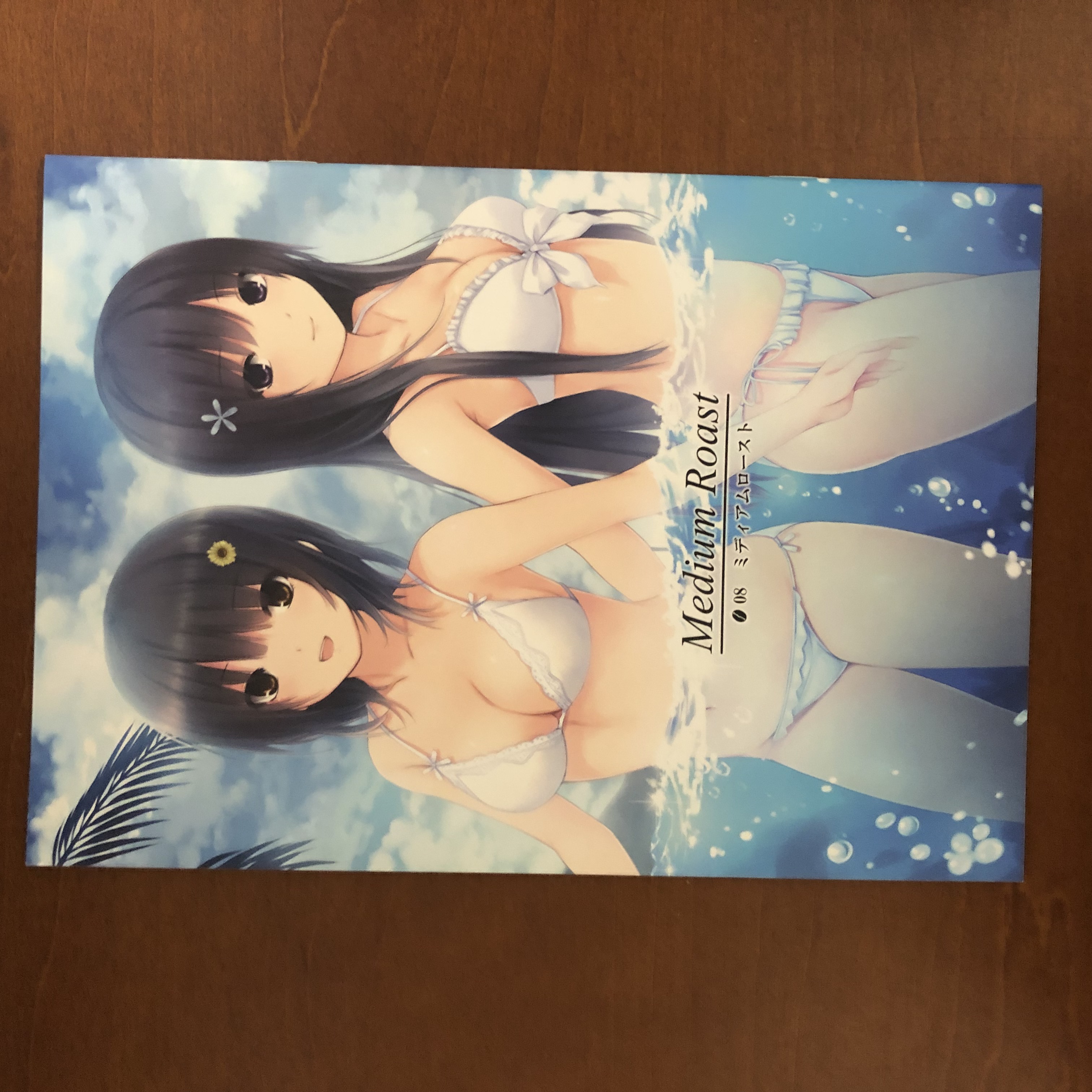 Medium Roast Coffee Kizoku Royal Mountain Art Book Illustration